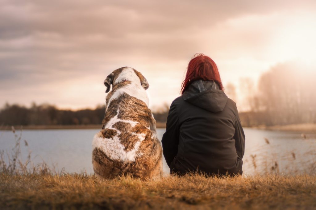 pet owner bond