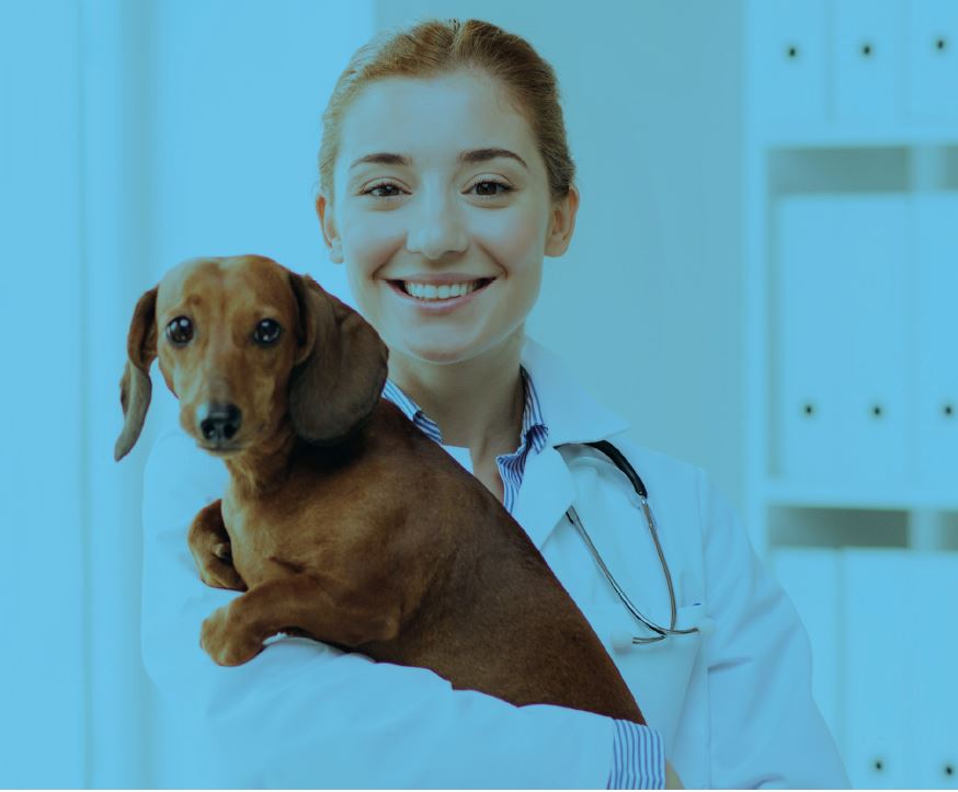 Happy vet holding a pup